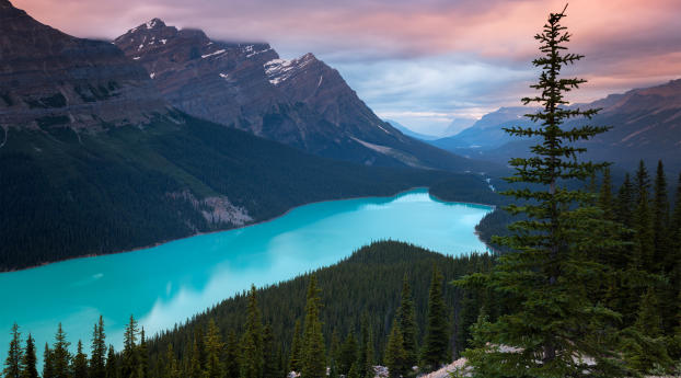 Peyto Lake Canada Mountains Wallpaper 2560x1600 Resolution