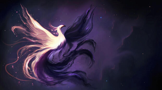 Phoenix Light And Darkness Art Wallpaper 1080x2240 Resolution