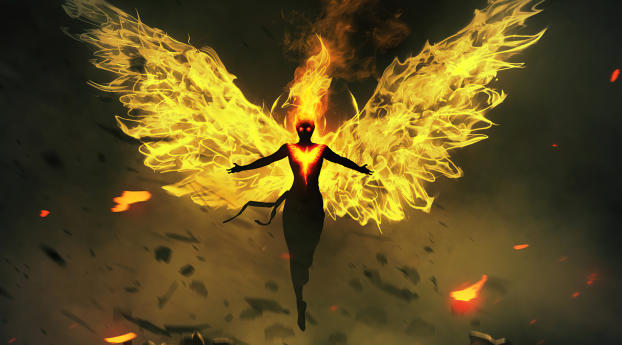 Phoenix on Fire 4k Art Wallpaper 1600x900 Resolution
