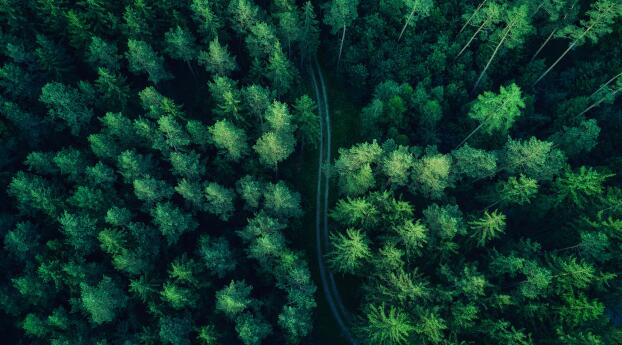 Photography Aerial 4k Wallpaper 1125x2436 Resolution