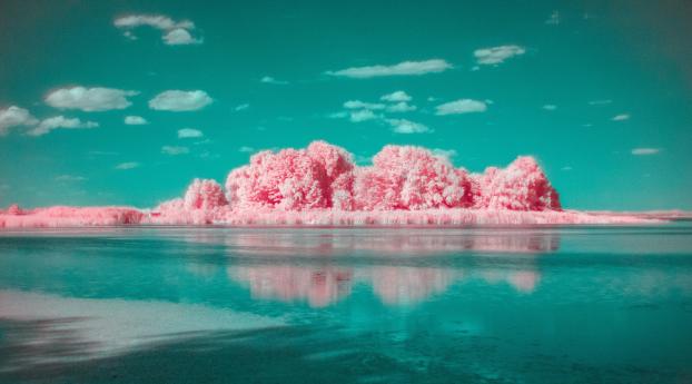 Photography Infrared 4k Wallpaper
