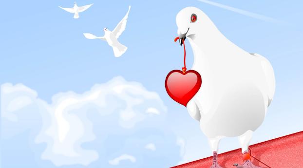 pigeon, birds, hearts Wallpaper