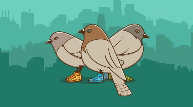 pigeons, birds, drawing Wallpaper 640x960 Resolution