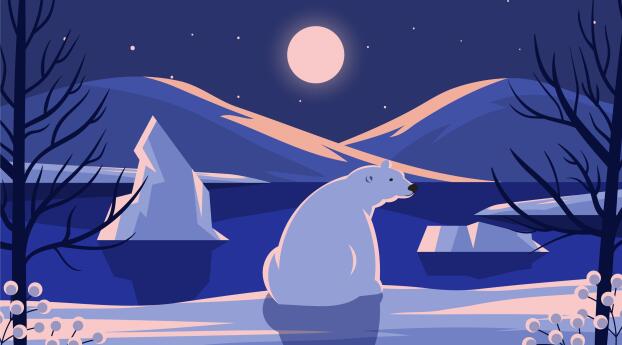 Polar Bear HD Winter Art Wallpaper 720x1560 Resolution