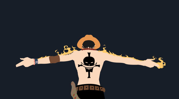 Portgas Ace Cool One Piece Wallpaper 640x960 Resolution