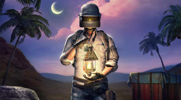 540x960 PUBG Mobile Jungle 540x960 Resolution Wallpaper, HD Games 4K  Wallpapers, Images, Photos and Background - Wallpapers Den