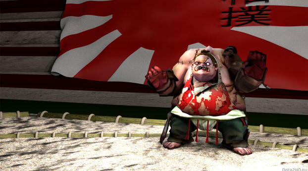 pudge, sumo fighter set, dota 2 Wallpaper 1080x1920 Resolution