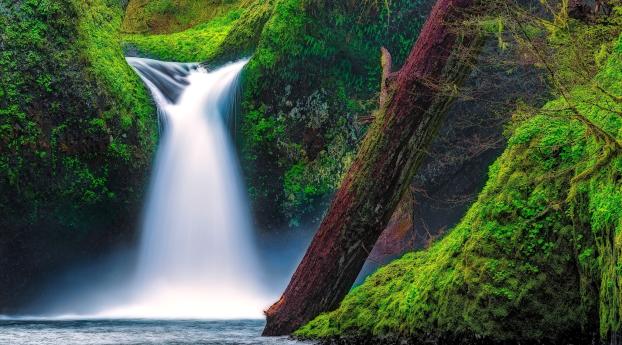 punch bowl falls, eagle creek, columbia river gorge Wallpaper 640x960 Resolution