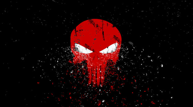 Punisher Logo Wallpaper 2248x2248 Resolution
