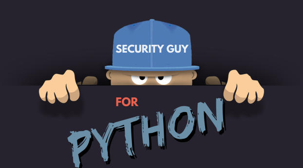 Python Programmer Wallpaper