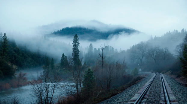 railroad, fog, trees Wallpaper