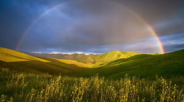 Rainbow HD Landscape Wallpaper 720x1500 Resolution
