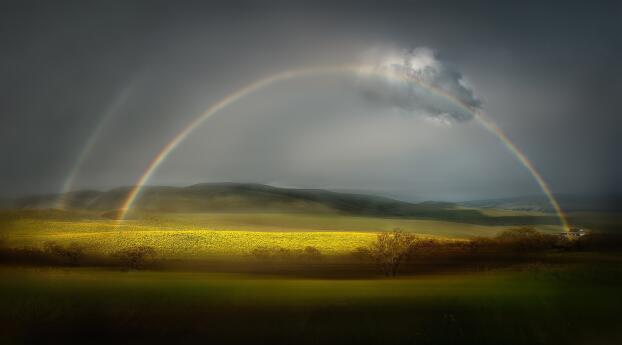 Rainbow Rain HD Wallpaper 800x2600 Resolution
