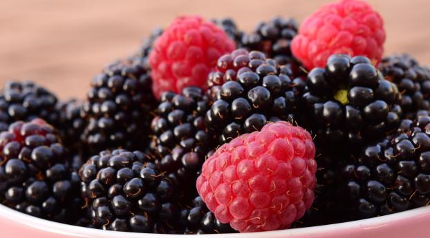 raspberries, blackberries, berries Wallpaper 2932x2932 Resolution