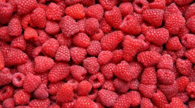raspberry, berry, ripe Wallpaper 2048x2048 Resolution