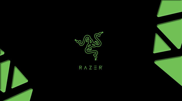 Razer Gamer Logo Wallpaper 1024x1024 Resolution