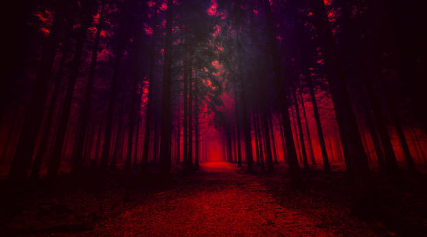 Red Forest Wallpaper 1440x3120 Resolution