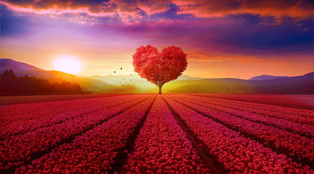 Red Heart Tree Wallpaper 1080x2240 Resolution