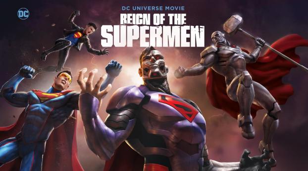 Reign of the Supermen Poster Wallpaper 1280x960 Resolution