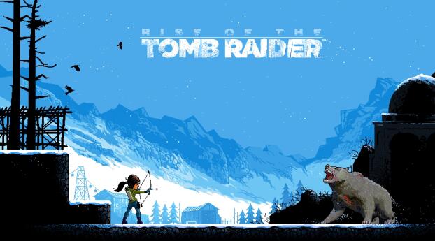 Rise of the Tomb Raider HD Cool Wallpaper 480x854 Resolution