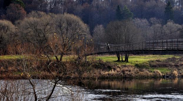 river, bridge, trees Wallpaper