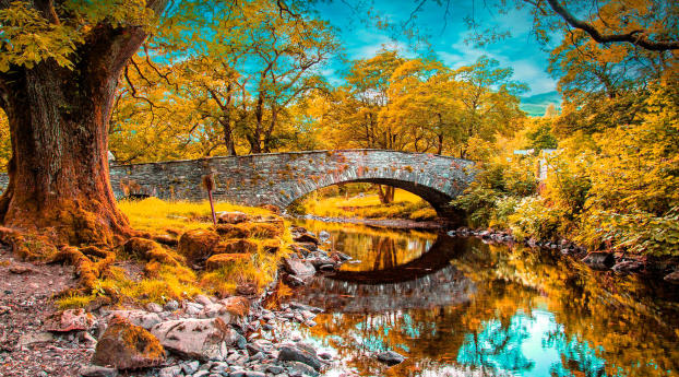 river, fall, pond Wallpaper 1080x2280 Resolution