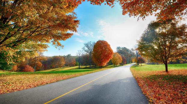 road, markings, autumn Wallpaper 480x484 Resolution