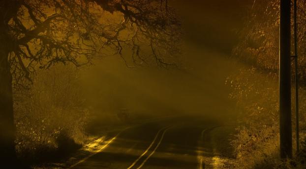 road, night, fog Wallpaper 3840x2400 Resolution