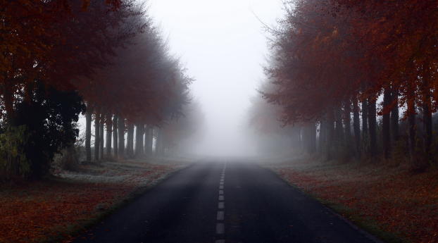 road, signs, trees Wallpaper 1080x2160 Resolution