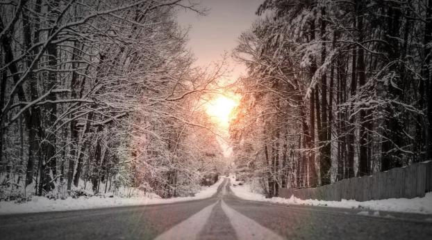 road, snow, signs Wallpaper 2560x1440 Resolution