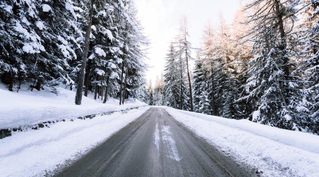road, snow, winter Wallpaper 1280x2120 Resolution