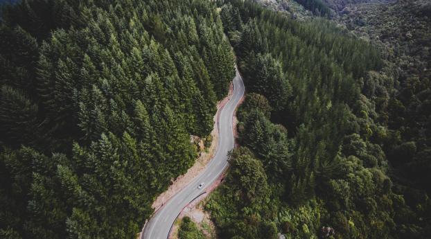 road, trees, movement Wallpaper 1080x2280 Resolution