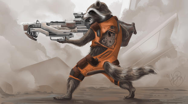 Rocket Raccoon Artwork Wallpaper 720x1480 Resolution