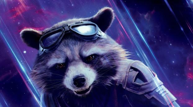 Rocket Raccoon in Avengers Endgame Wallpaper 1600x900 Resolution