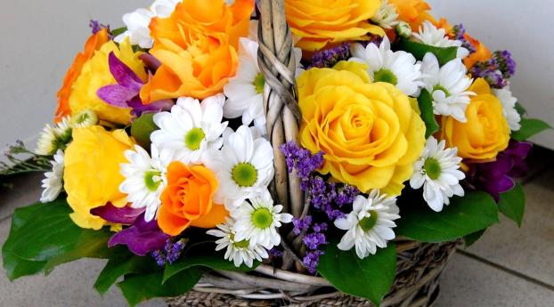 roses, daisies, flowers Wallpaper 320x568 Resolution