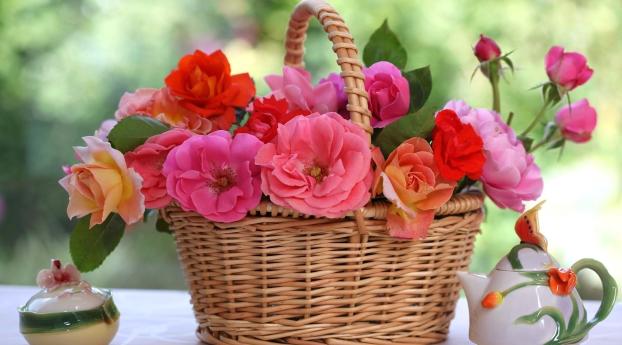 roses, flowers, basket Wallpaper