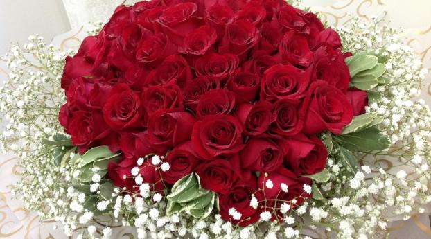 roses, gypsophila, bouquet Wallpaper 1080x2280 Resolution