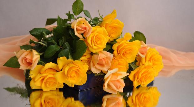 roses, yellow, flower Wallpaper 2460x2400 Resolution