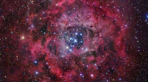 Rosette Nebula Wallpaper 1080x2048 Resolution
