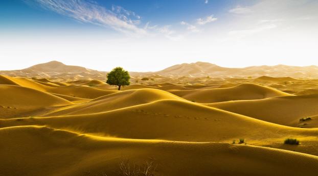 Rub' al Khali desert on the border of Oman and the Emirate of Dubai Wallpaper