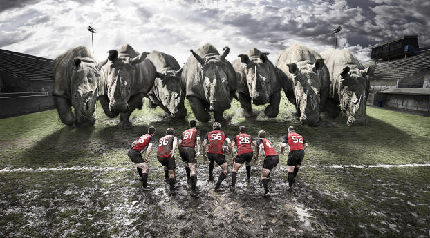 rugby, team, rhinos Wallpaper 2048x1152 Resolution
