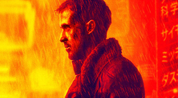 Ryan Gosling Blade Runner 2049 Wallpaper 1080x2244 Resolution