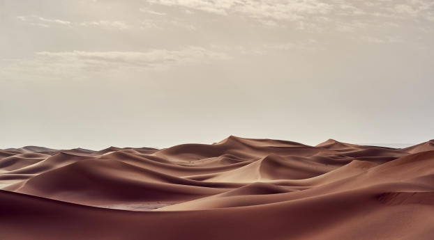 Sahara Desert in Summer Wallpaper