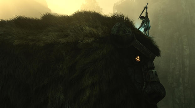 Shadow Of The Colossus Wallpaper 2160x3840 Resolution