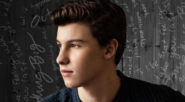 shawn mendes, actor, profile Wallpaper 319x720 Resolution
