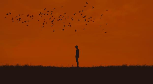 Silhouette Man And Birds Wallpaper 1080x2376 Resolution