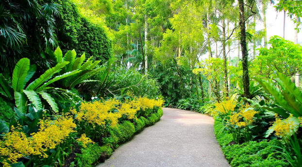 singapore, botanic gardens, walking paths Wallpaper 960x544 Resolution