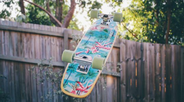 skateboarding, sports, fence Wallpaper