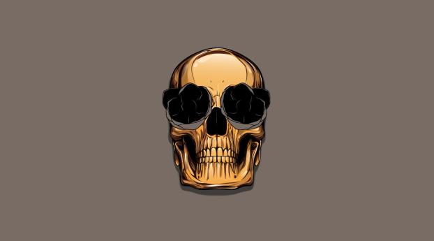 skull, art, minimalism Wallpaper 2560x1600 Resolution