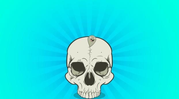 skull, ball, line Wallpaper 1600x900 Resolution